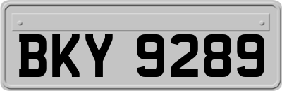 BKY9289