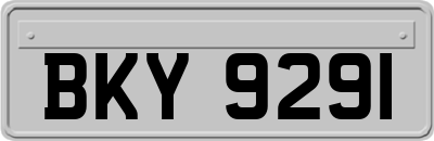 BKY9291
