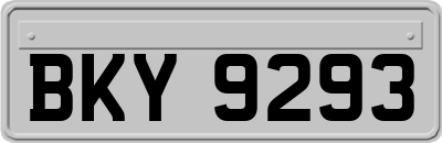 BKY9293