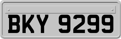 BKY9299
