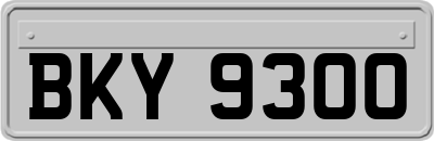 BKY9300