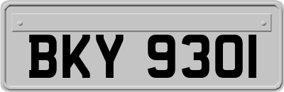 BKY9301