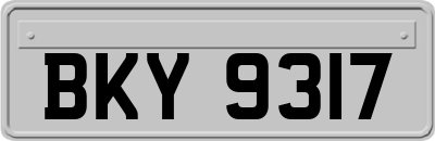 BKY9317
