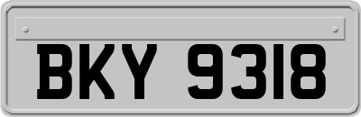 BKY9318