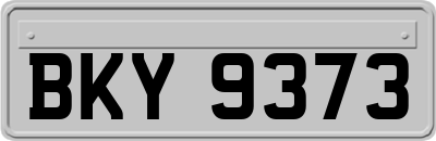 BKY9373