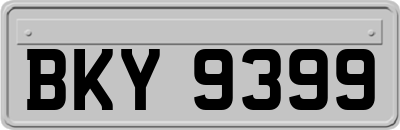 BKY9399