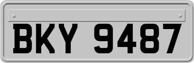 BKY9487