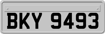 BKY9493