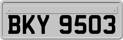BKY9503