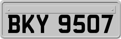 BKY9507