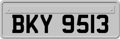 BKY9513