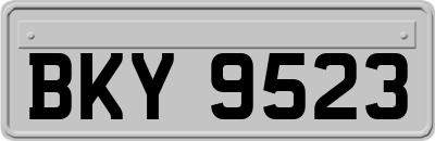 BKY9523