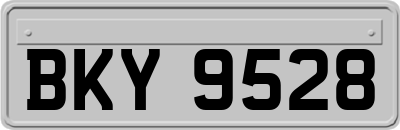 BKY9528