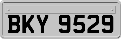 BKY9529
