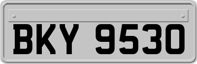BKY9530