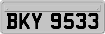 BKY9533