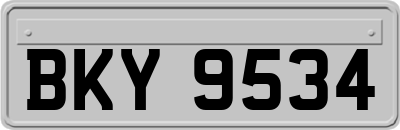 BKY9534