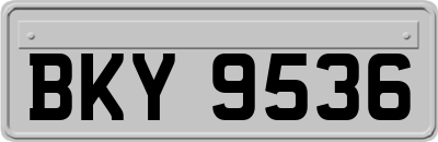 BKY9536