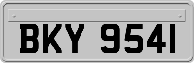 BKY9541