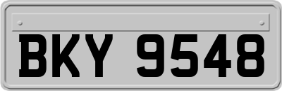 BKY9548