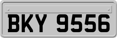 BKY9556