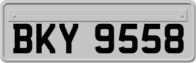 BKY9558