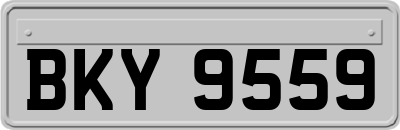 BKY9559