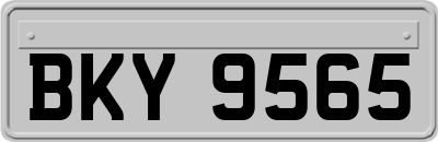 BKY9565