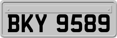BKY9589