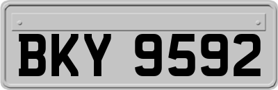 BKY9592