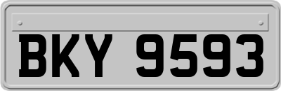 BKY9593