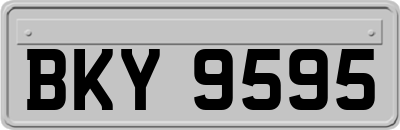 BKY9595
