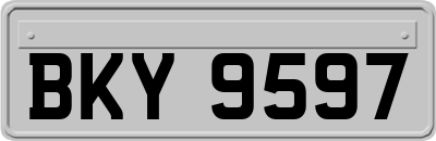 BKY9597