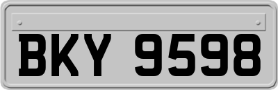 BKY9598