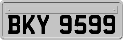 BKY9599