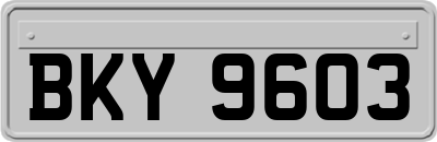 BKY9603