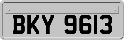 BKY9613