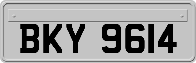 BKY9614