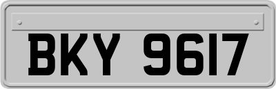 BKY9617