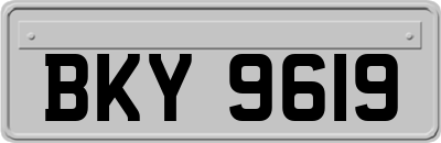 BKY9619
