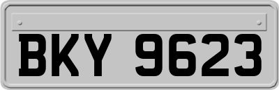 BKY9623