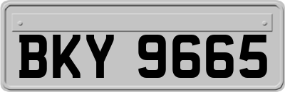 BKY9665