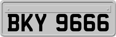 BKY9666