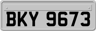 BKY9673