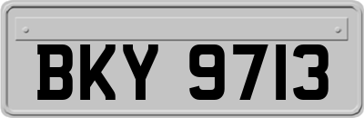 BKY9713