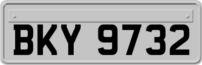 BKY9732