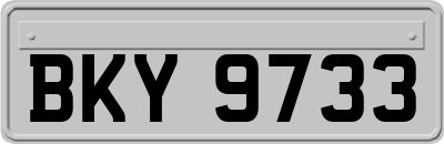 BKY9733