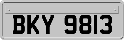 BKY9813