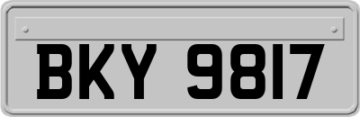 BKY9817