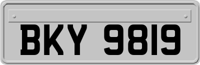 BKY9819